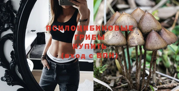 таблы Алексеевка