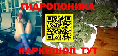 крисы Обнинск