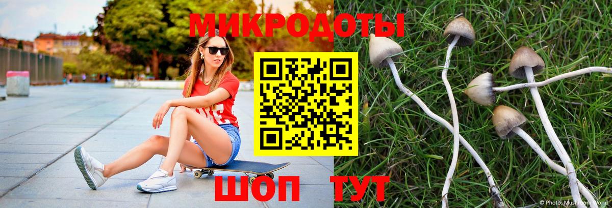 Чусовой  Галлюциногенные грибы ЛСД  Галлюциногенные грибы MAGIC MUSHROOMS  Вход с VPN 